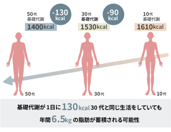 基礎代謝が1日に130kcal30代と同じ生活をしていても年間6.5kgの死亡が蓄積される可能性